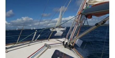 Regatta Business Poland 2022 z udziałem NOVET