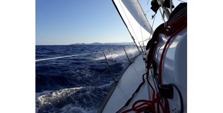 Mistrzostwa branży budowlanej | NOVET.EU