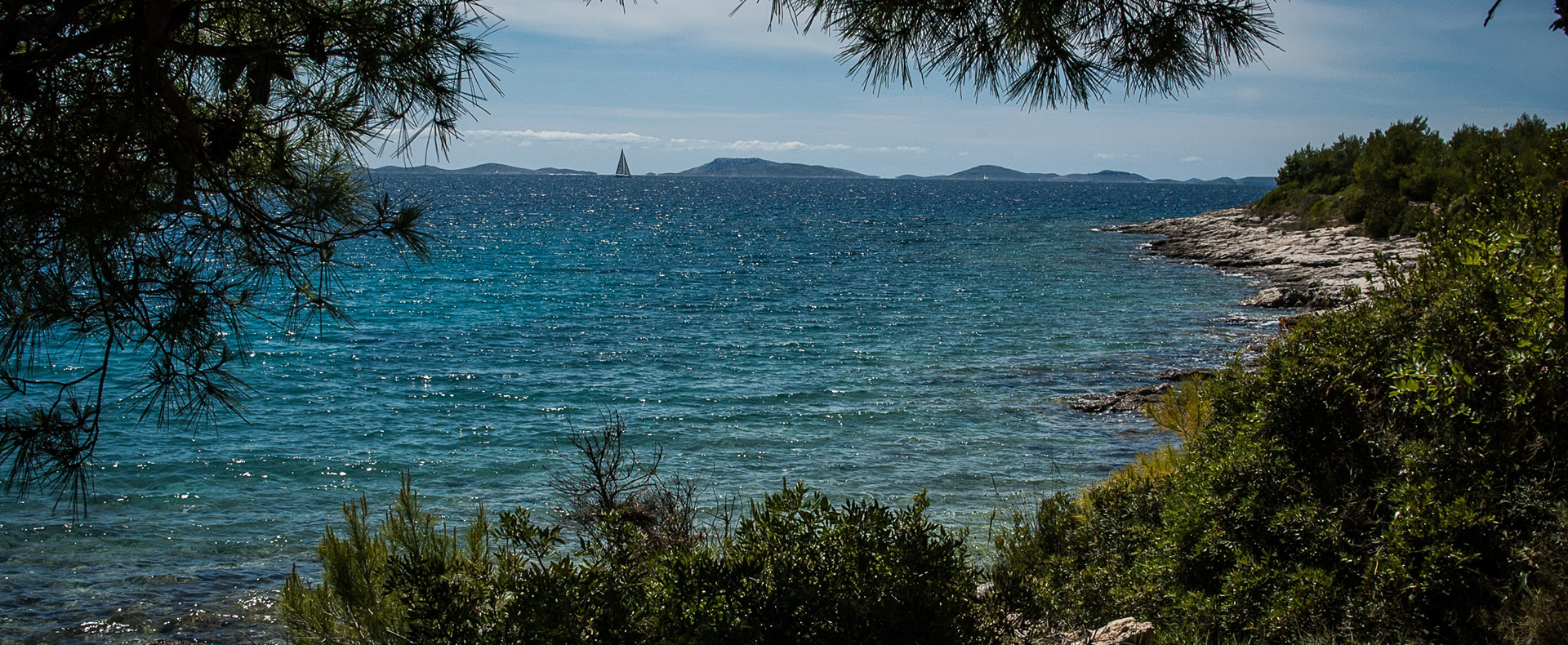 NOVET na Regatta Build Cup 2019